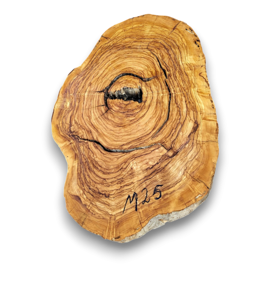 Baumscheibe Olivenholz M25
