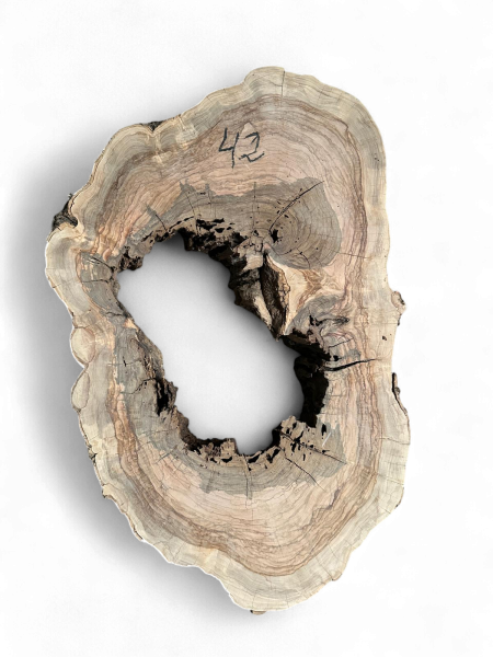 Baumscheibe Olivenholz 42-1