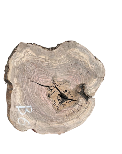 Baumscheibe Olivenholz B06