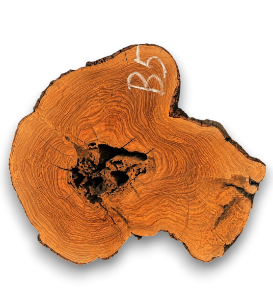 Baumscheibe Olivenholz B05