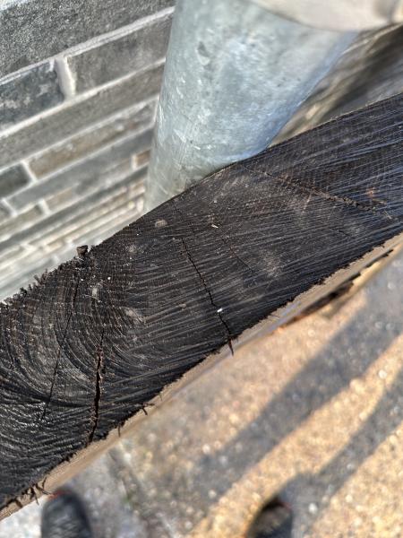 Holzbohle echte Mooreiche S01